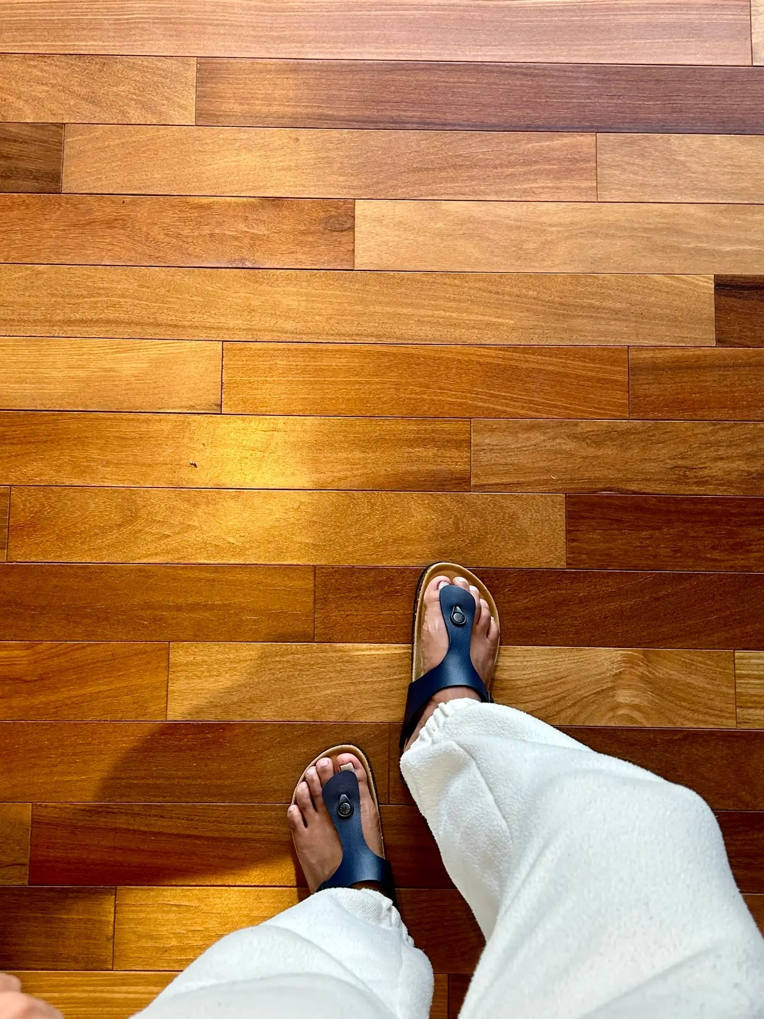 Marini Miramare Mens Sandal - Navy Blue